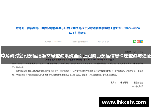 尊龙凯时公司药品批准文号查询系统全面上线助力药品信息快速查询与验证