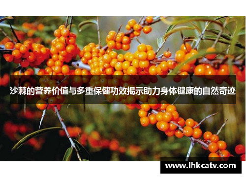 沙棘的营养价值与多重保健功效揭示助力身体健康的自然奇迹